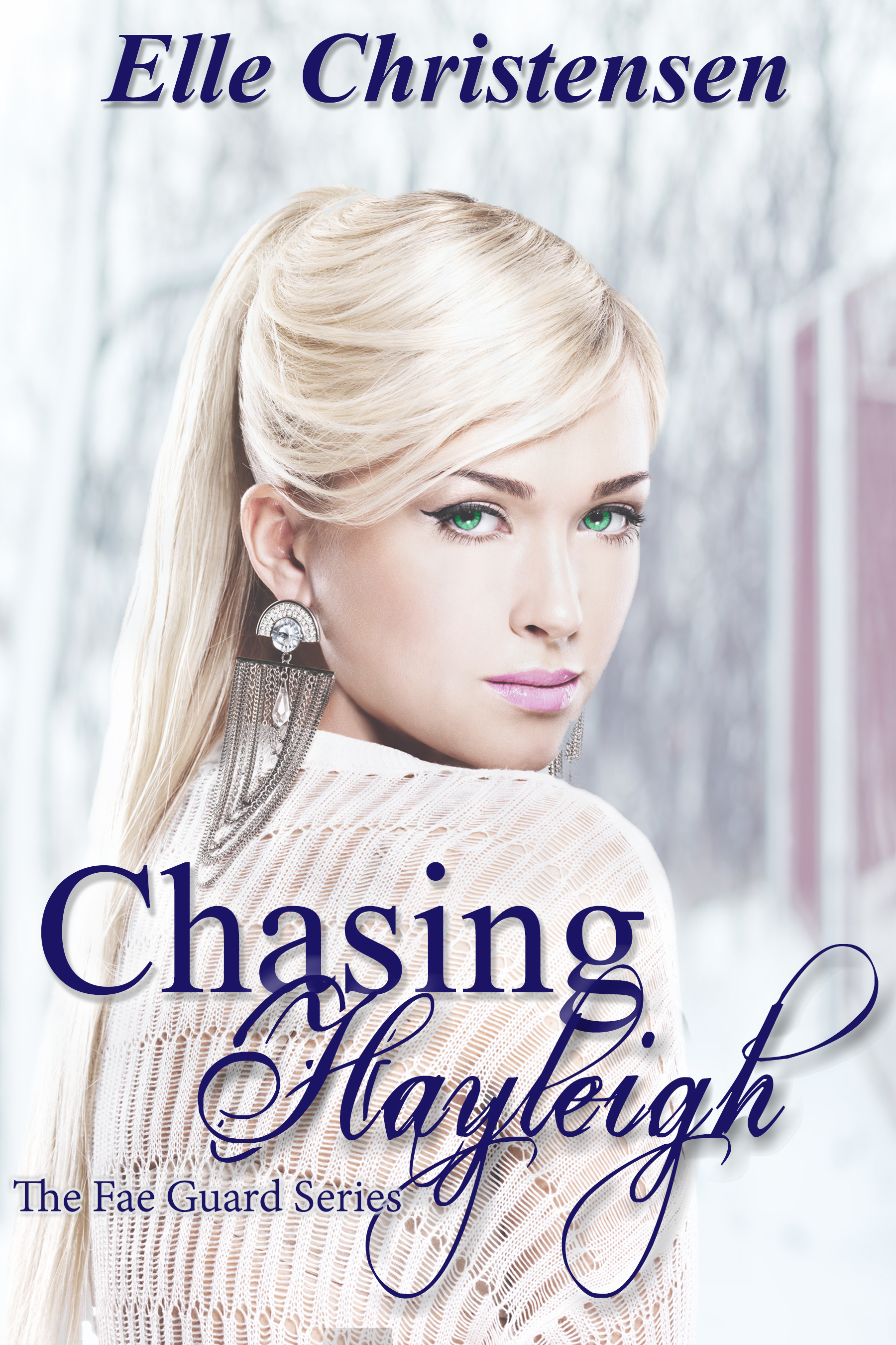 Chasing Hayleigh book cover