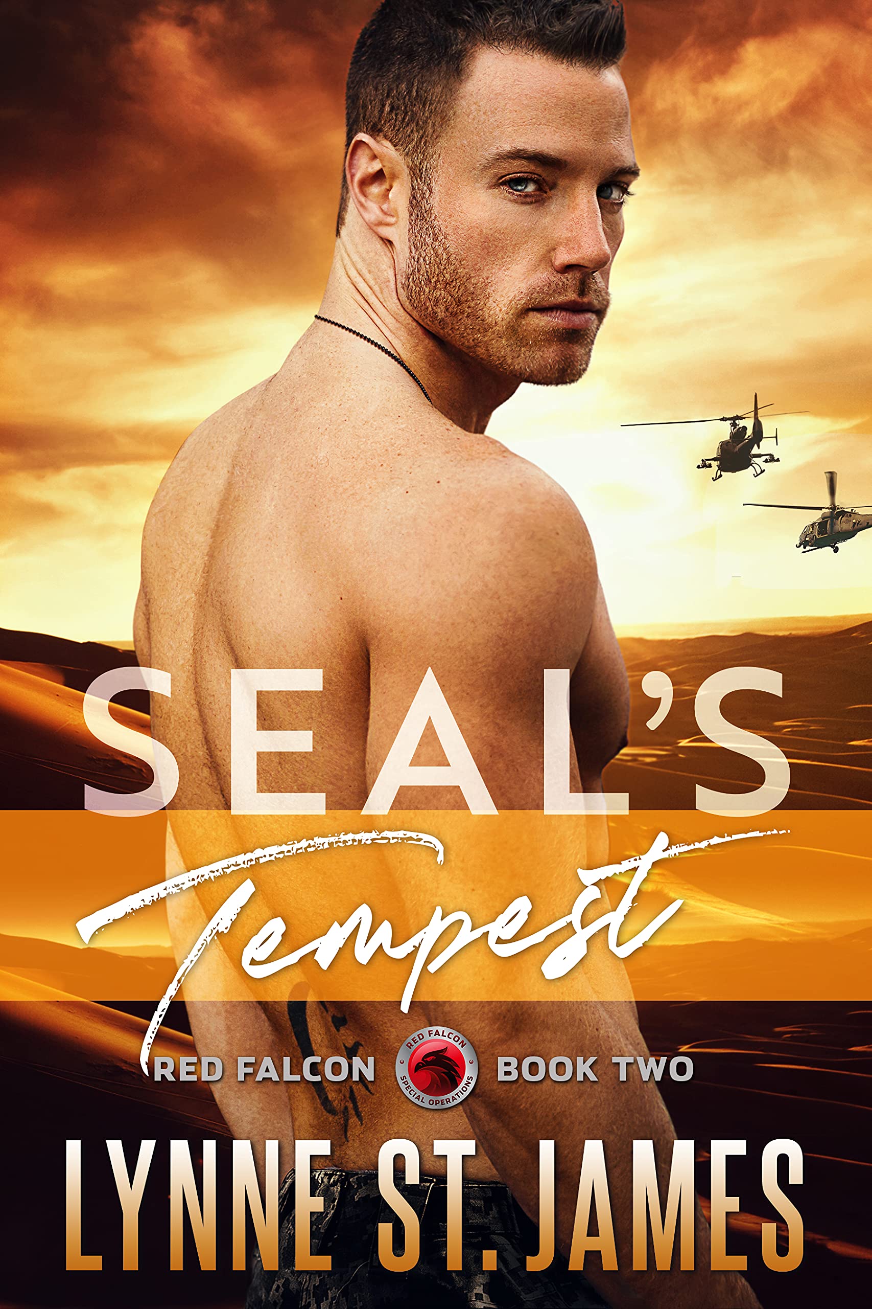 Red Falcon Team book cover 2