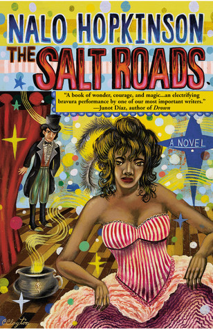 The Salt Roads book cover