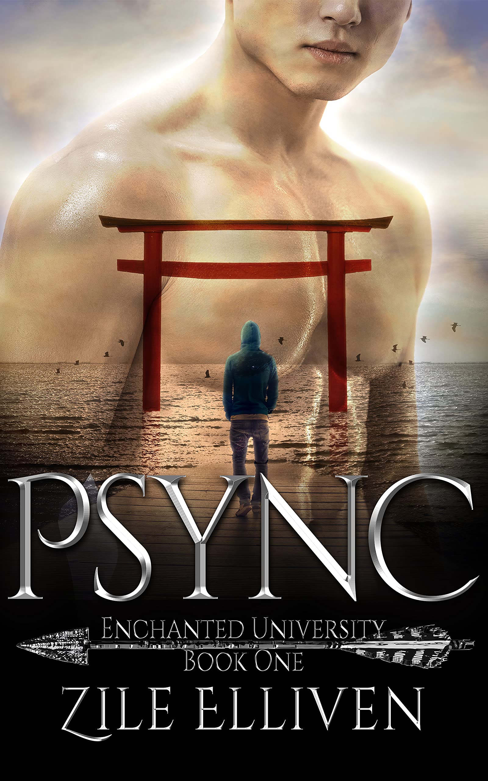 Enchanted University book cover 1