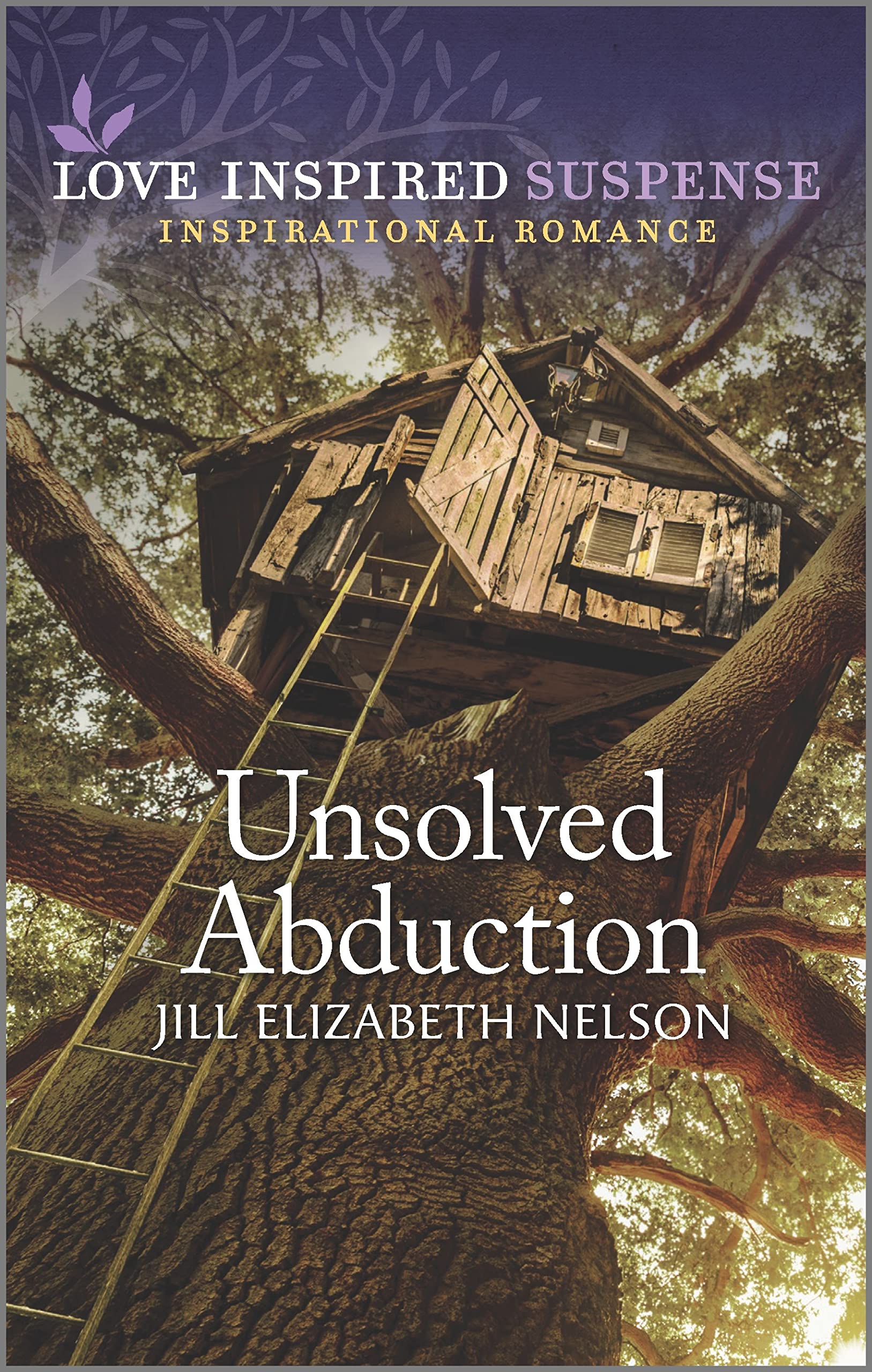 Unsolved Abduction book cover