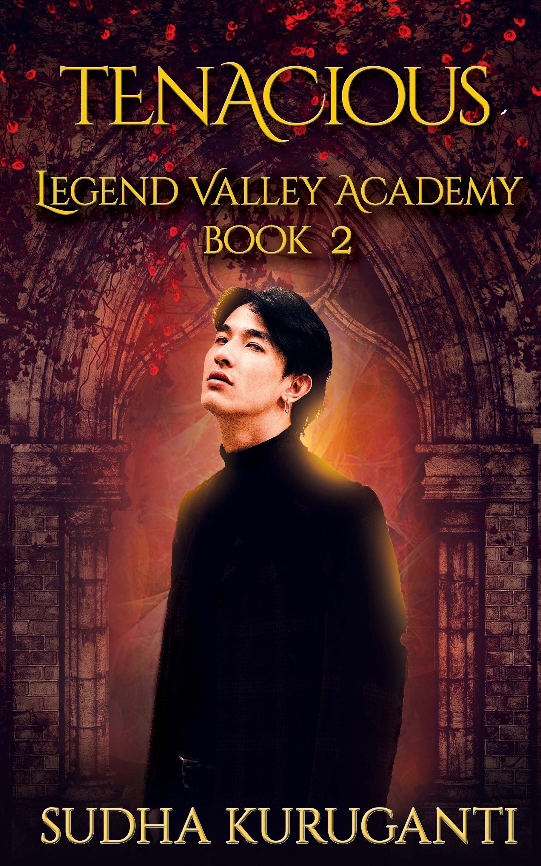 Legend Valley Academy book cover 2