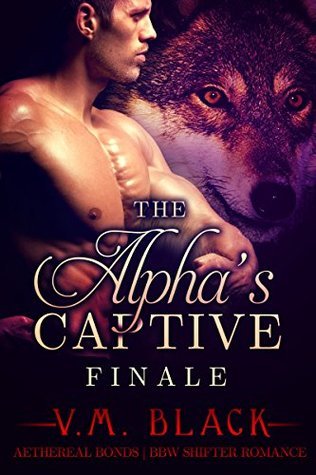 Finale book cover