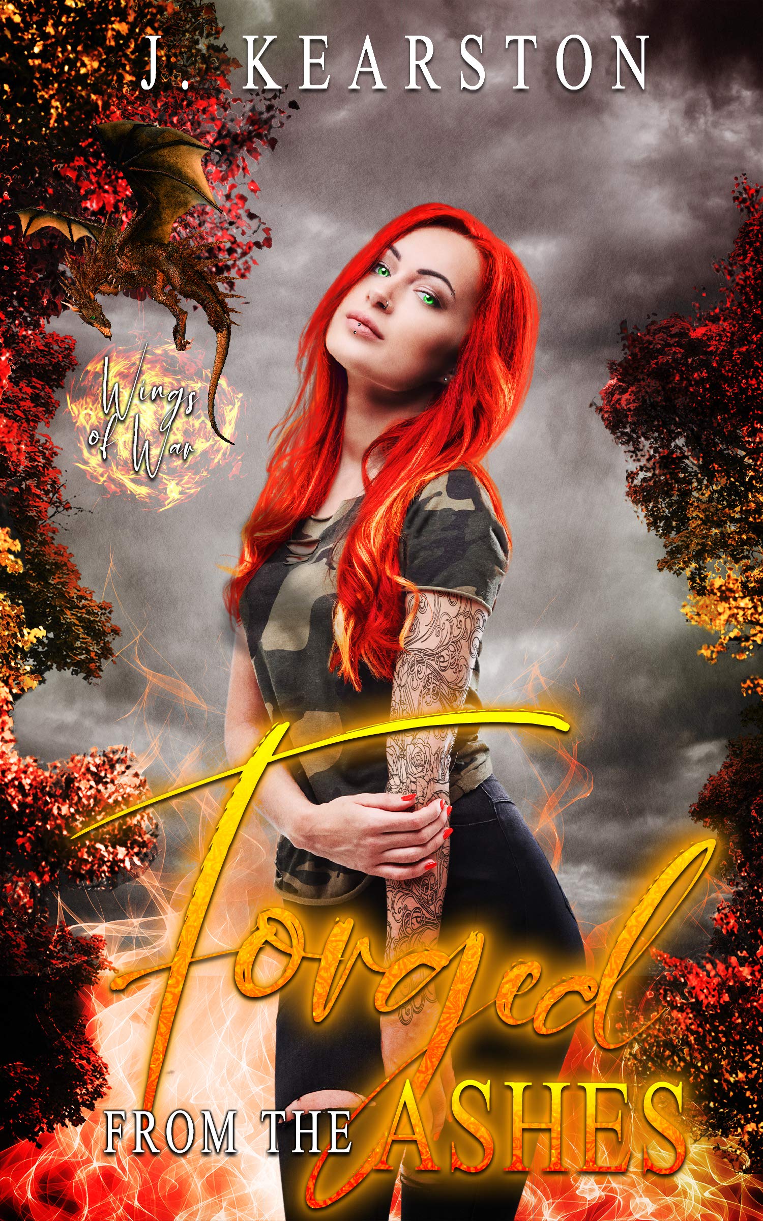 Wings of War book cover 1