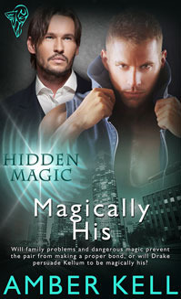 Hidden Magic book cover 3
