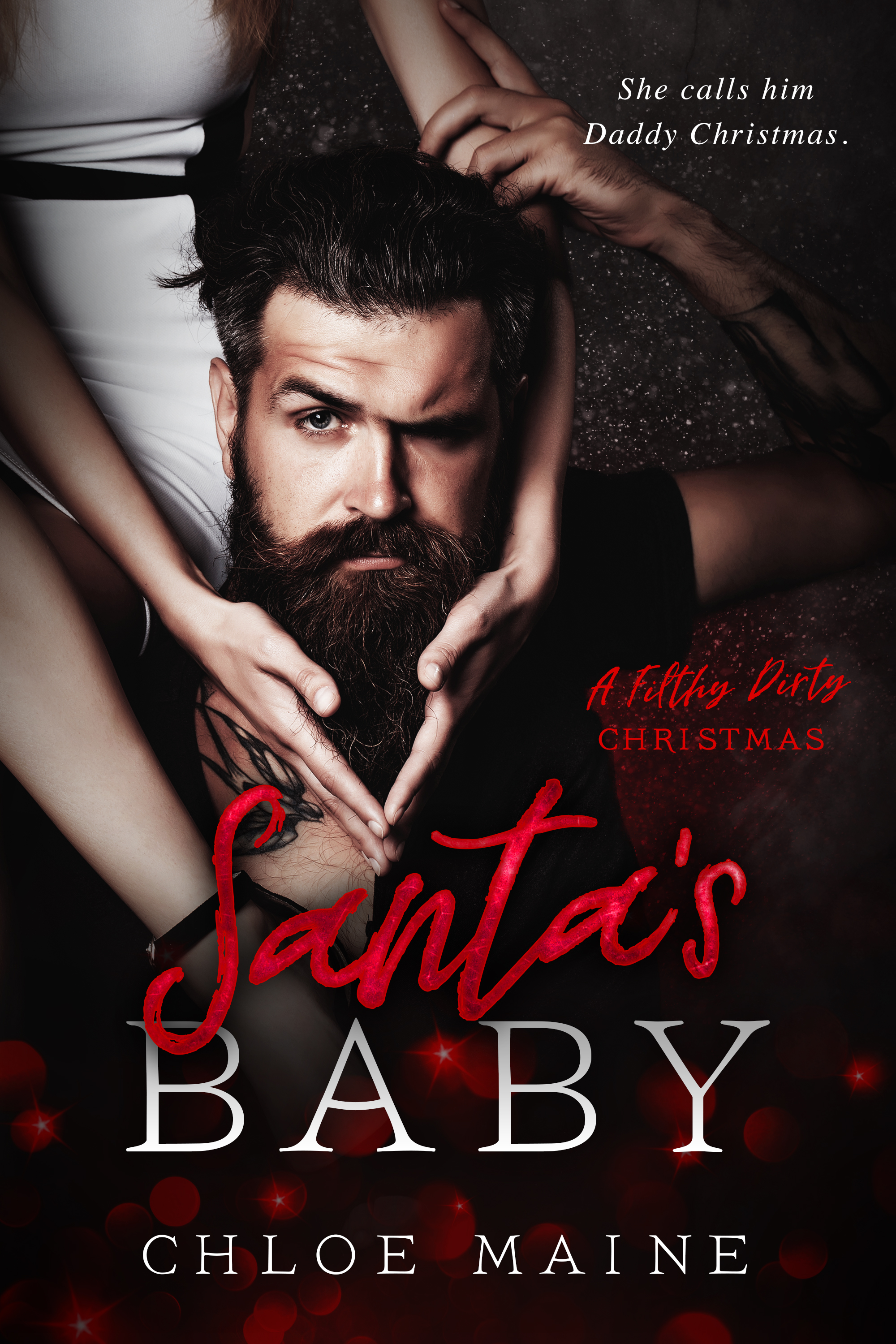 Santa's Baby book cover