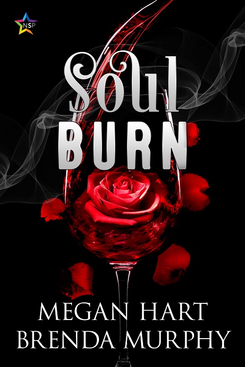 Soul Burn book cover
