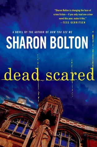 Lacey Flint book cover 2
