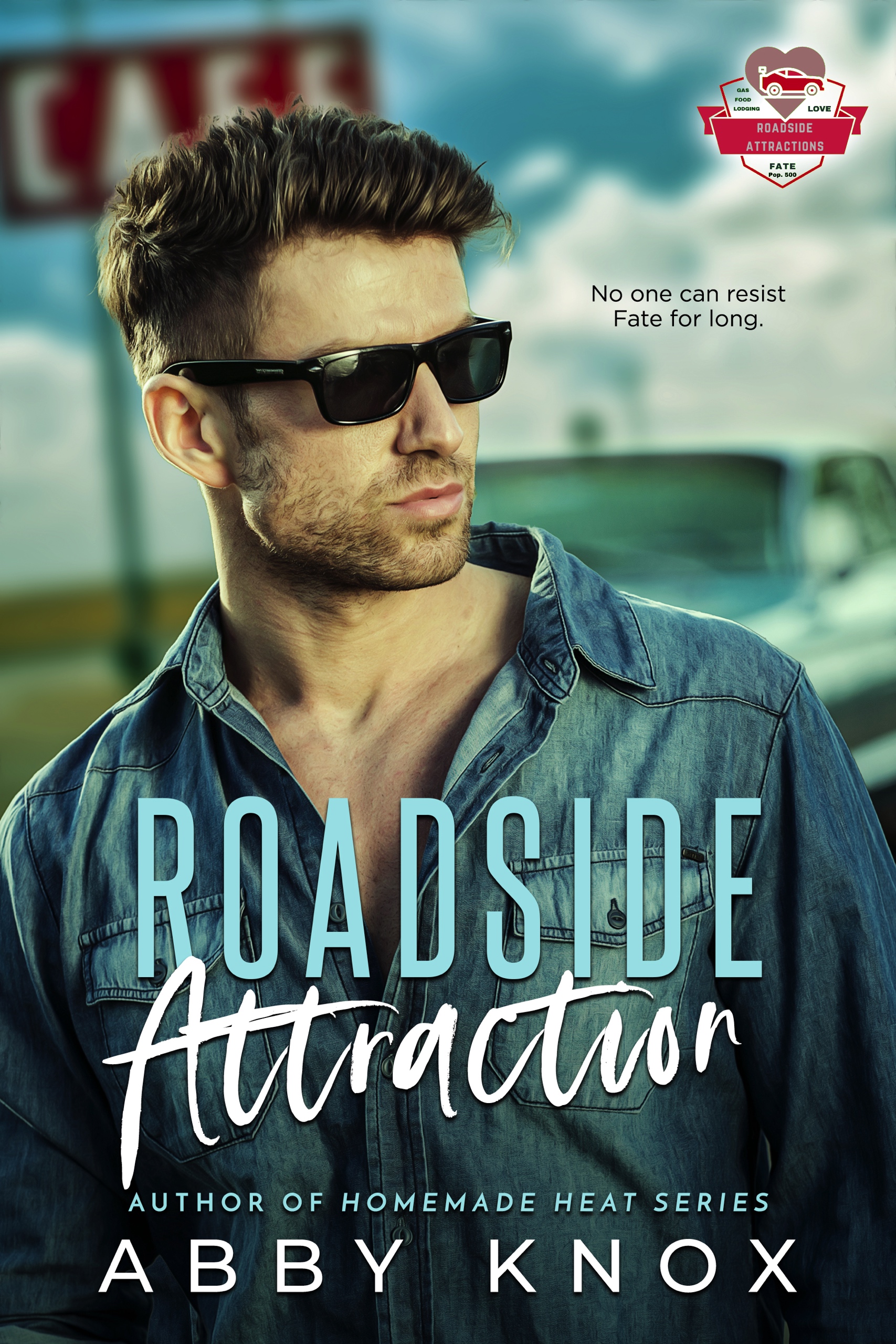 Roadside Attraction book cover 1