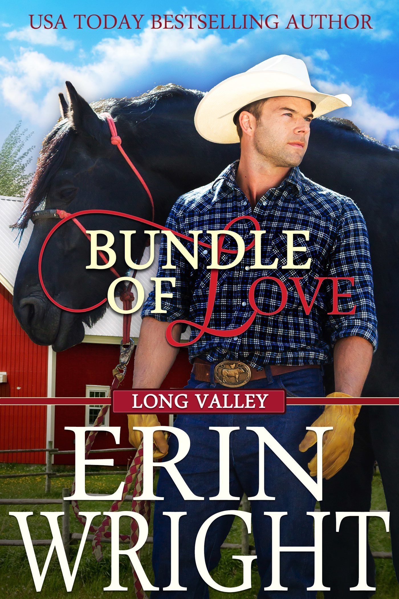 Long Valley book cover 3