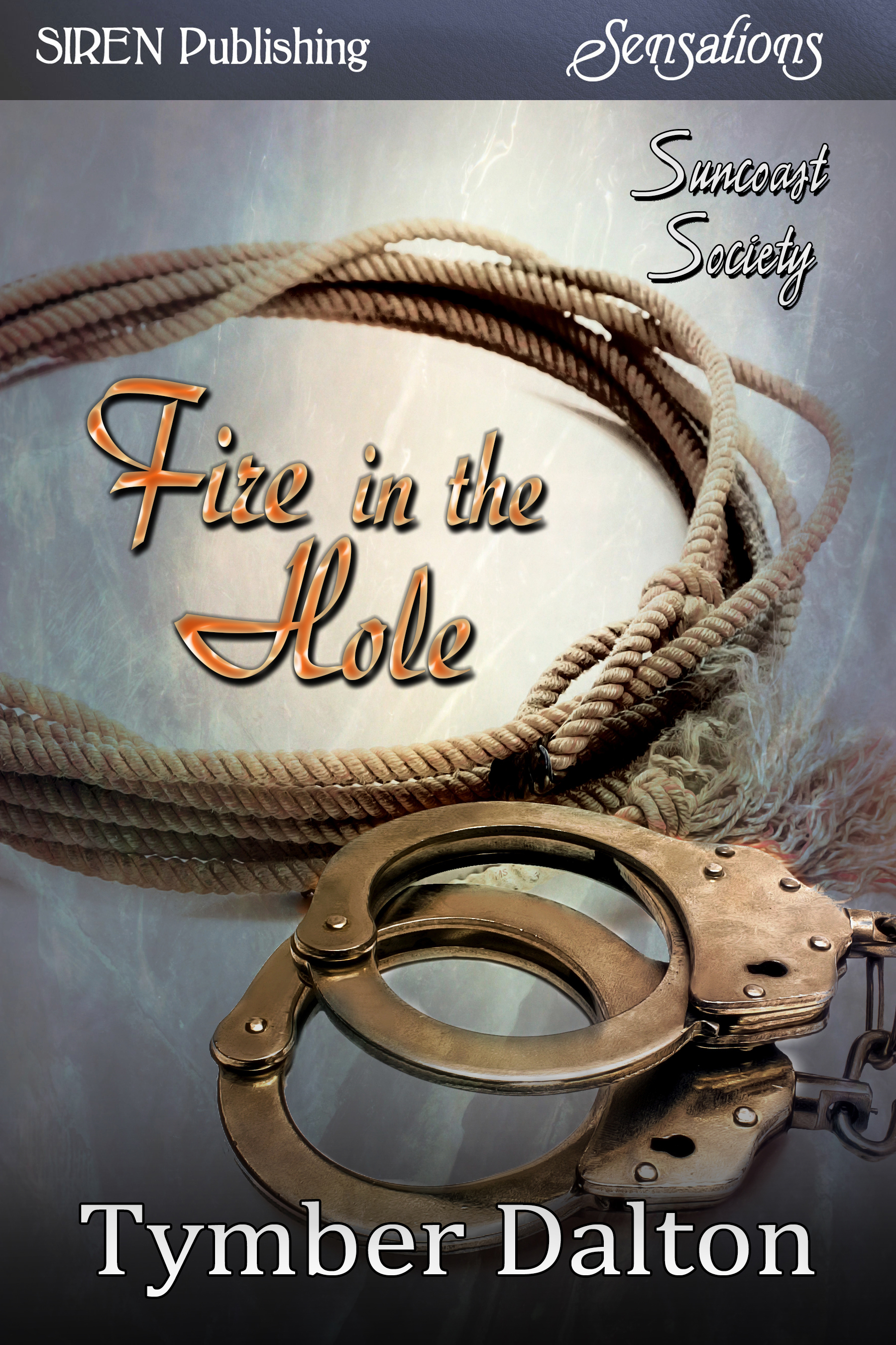 Fire in the Hole book cover