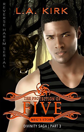Divinity Saga: Meg's Story book cover 3