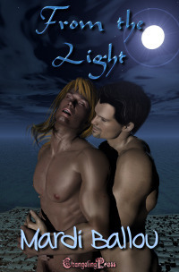 From The Light book cover