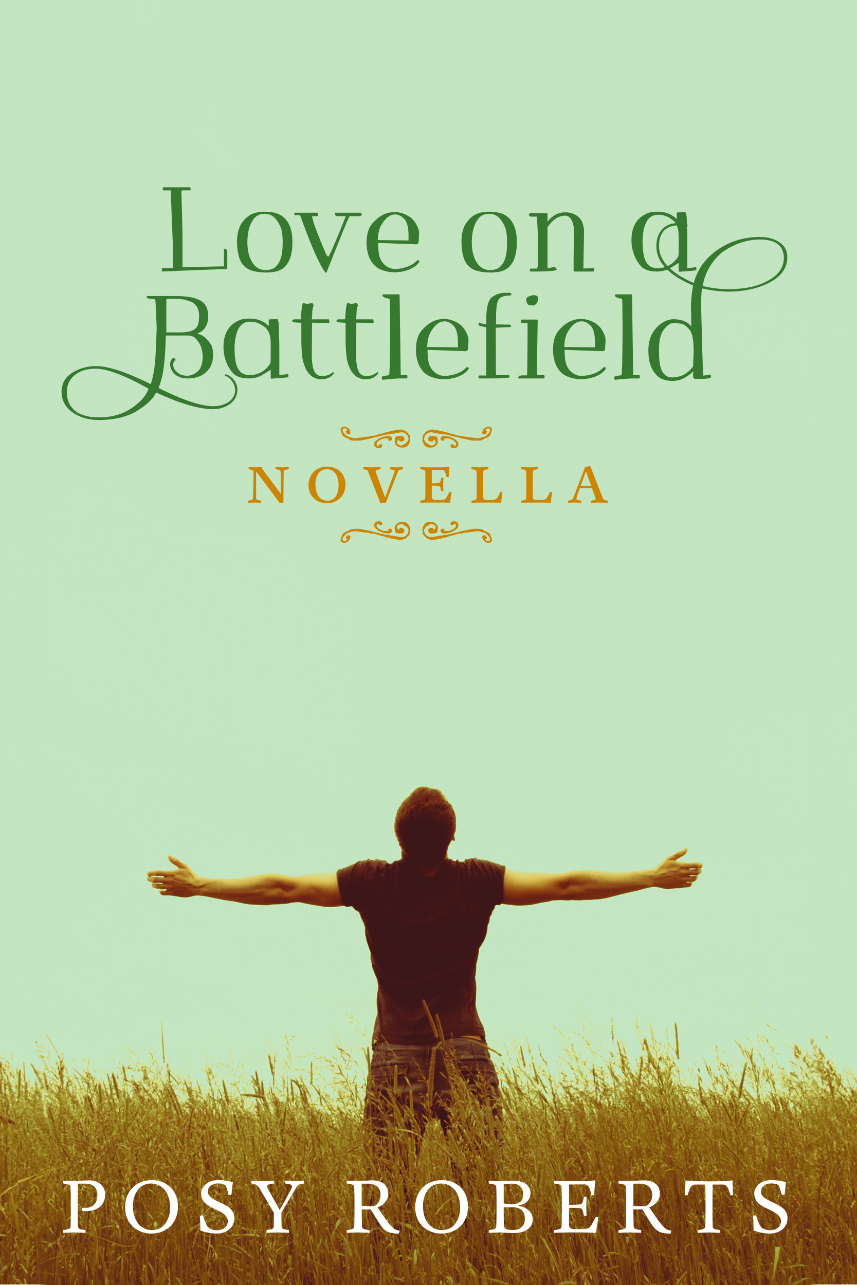 Love on a Battlefield book cover