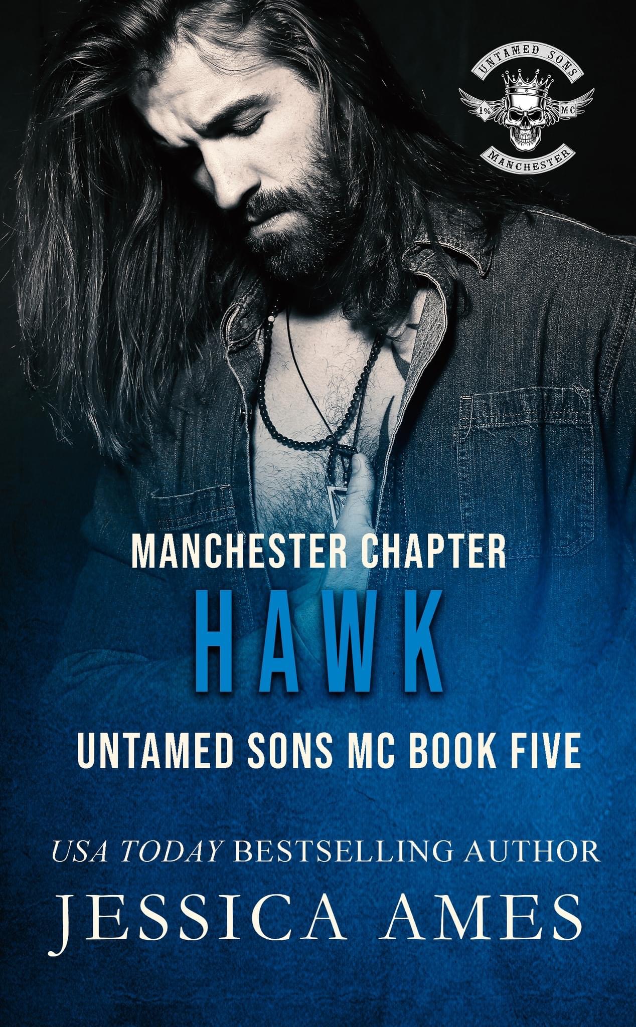 Hawk book cover