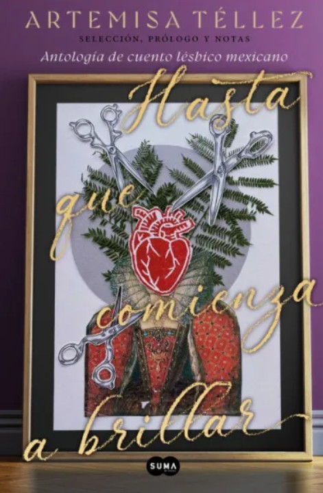Hasta que comienza a brillar book cover