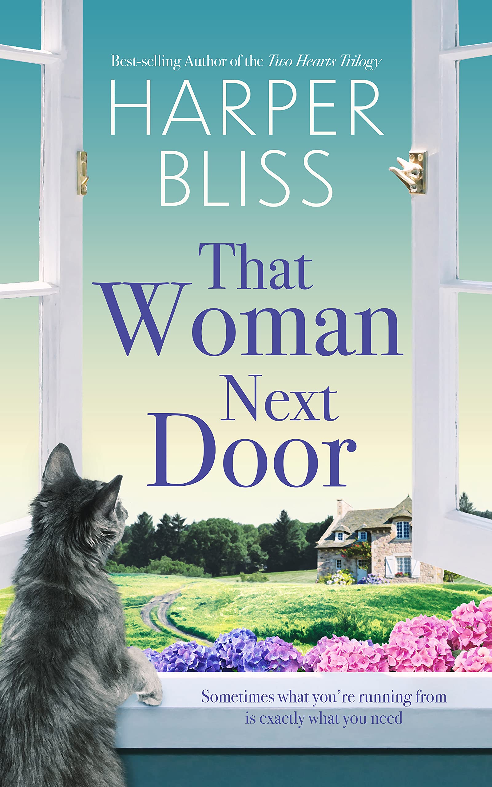 That Woman Next Door book cover
