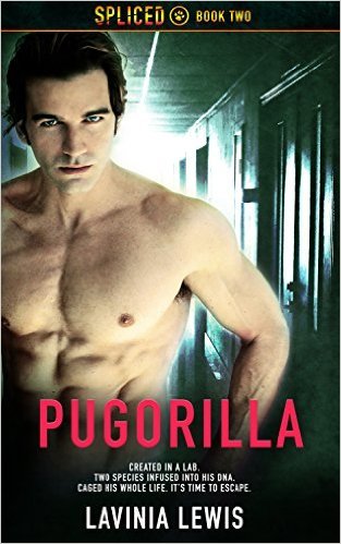 Spliced book cover 2
