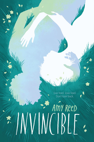 Invincible book cover 1