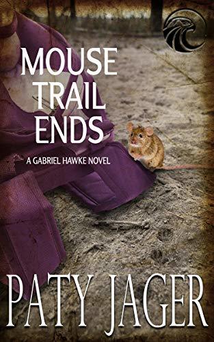 Gabriel Hawke book cover 2