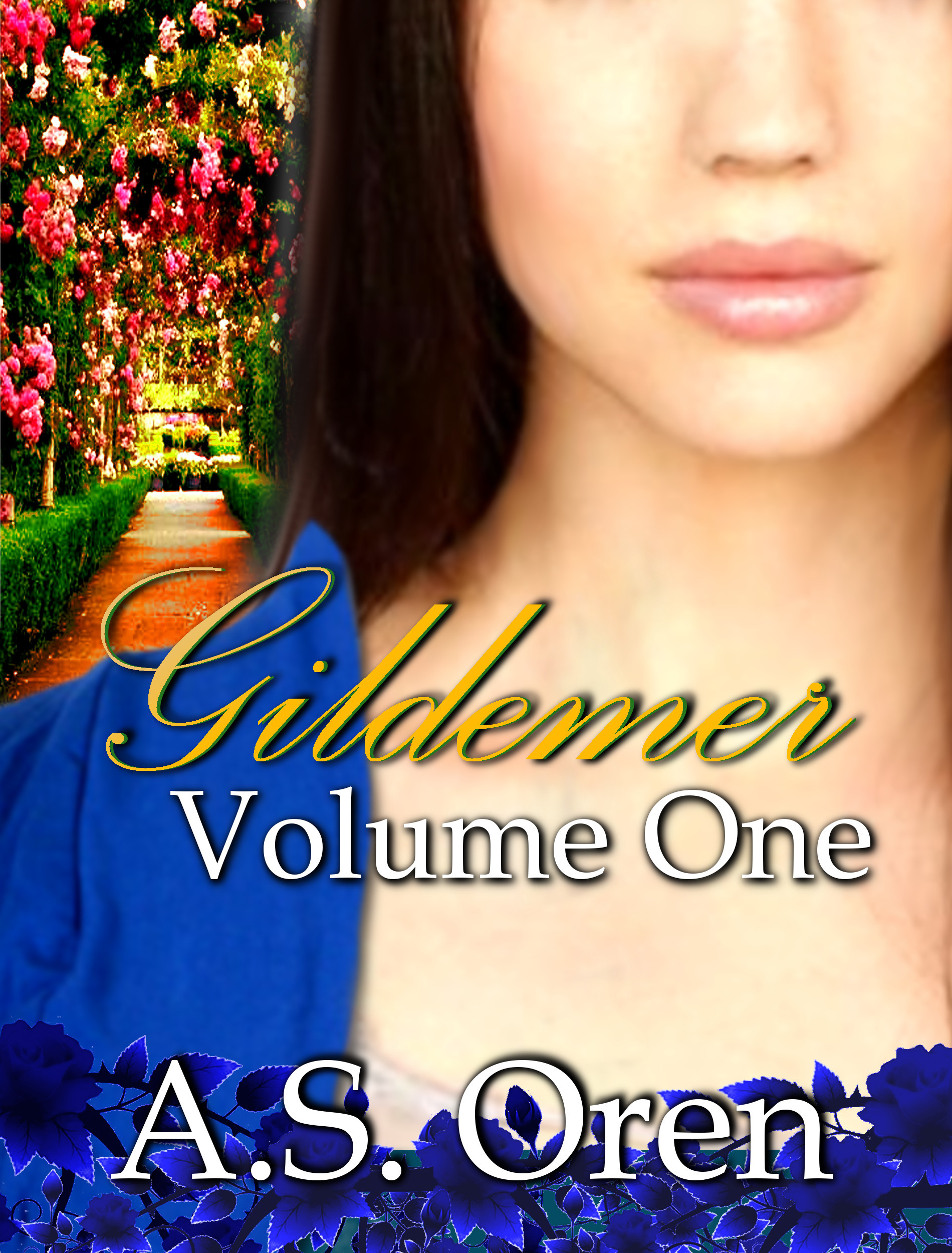 Gildemer Volume One book cover