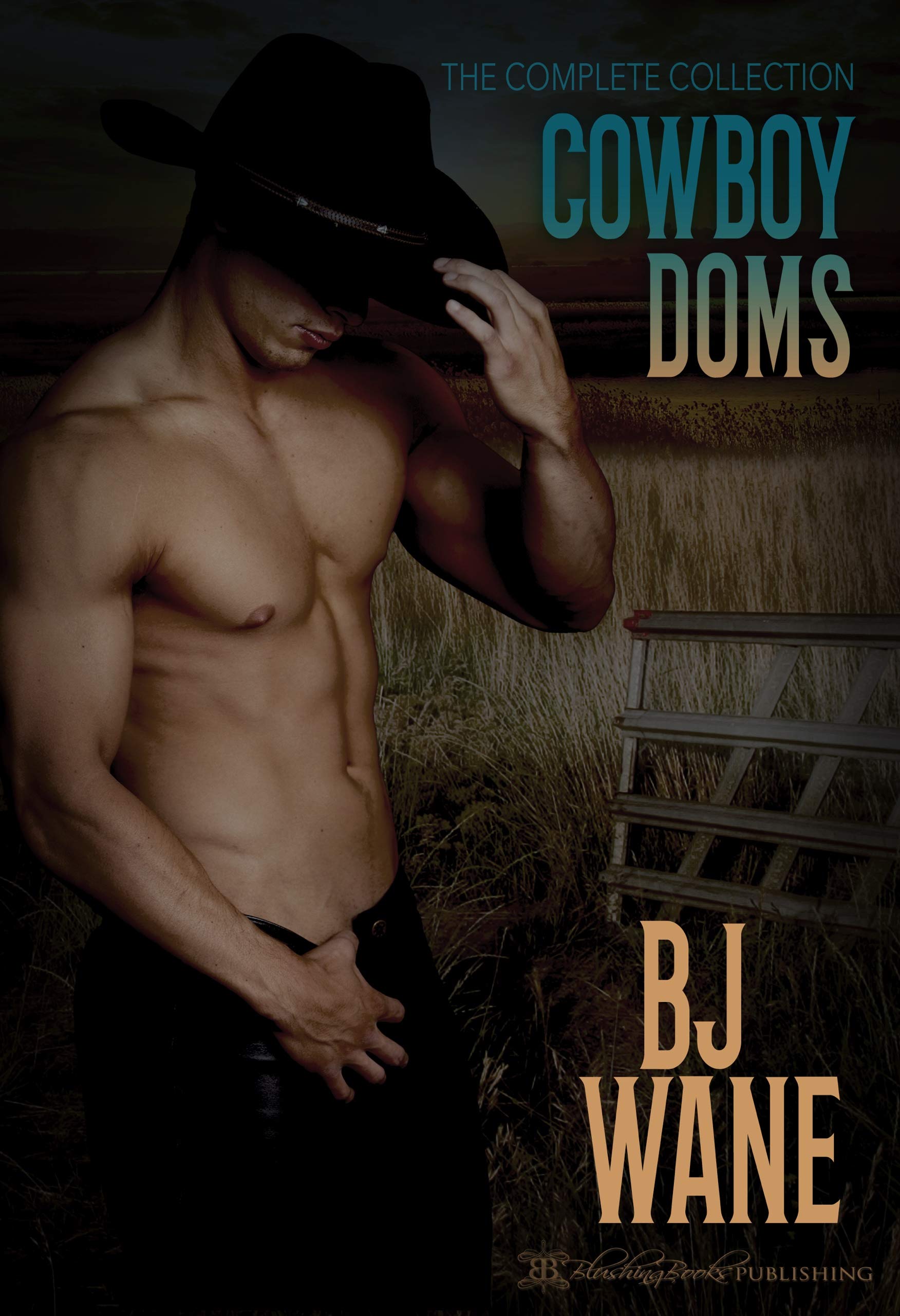 Cowboy Doms Collection book cover