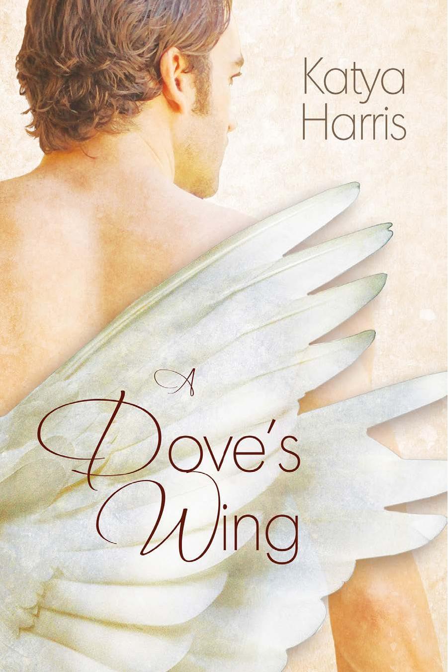 A Dove's Wing book cover