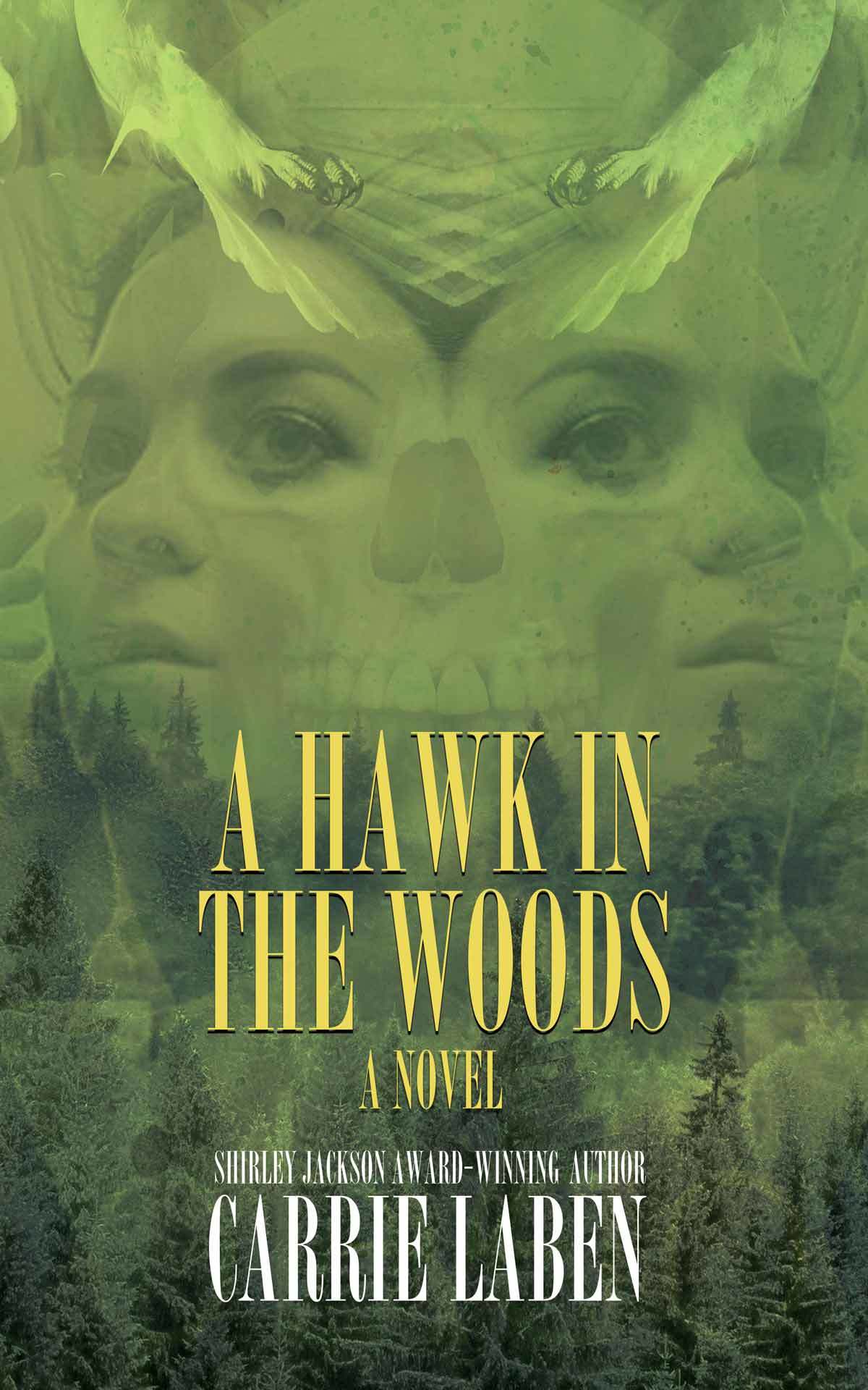 A Hawk in the Woods book cover