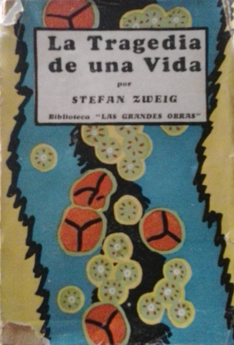 La tragedia de una vida book cover
