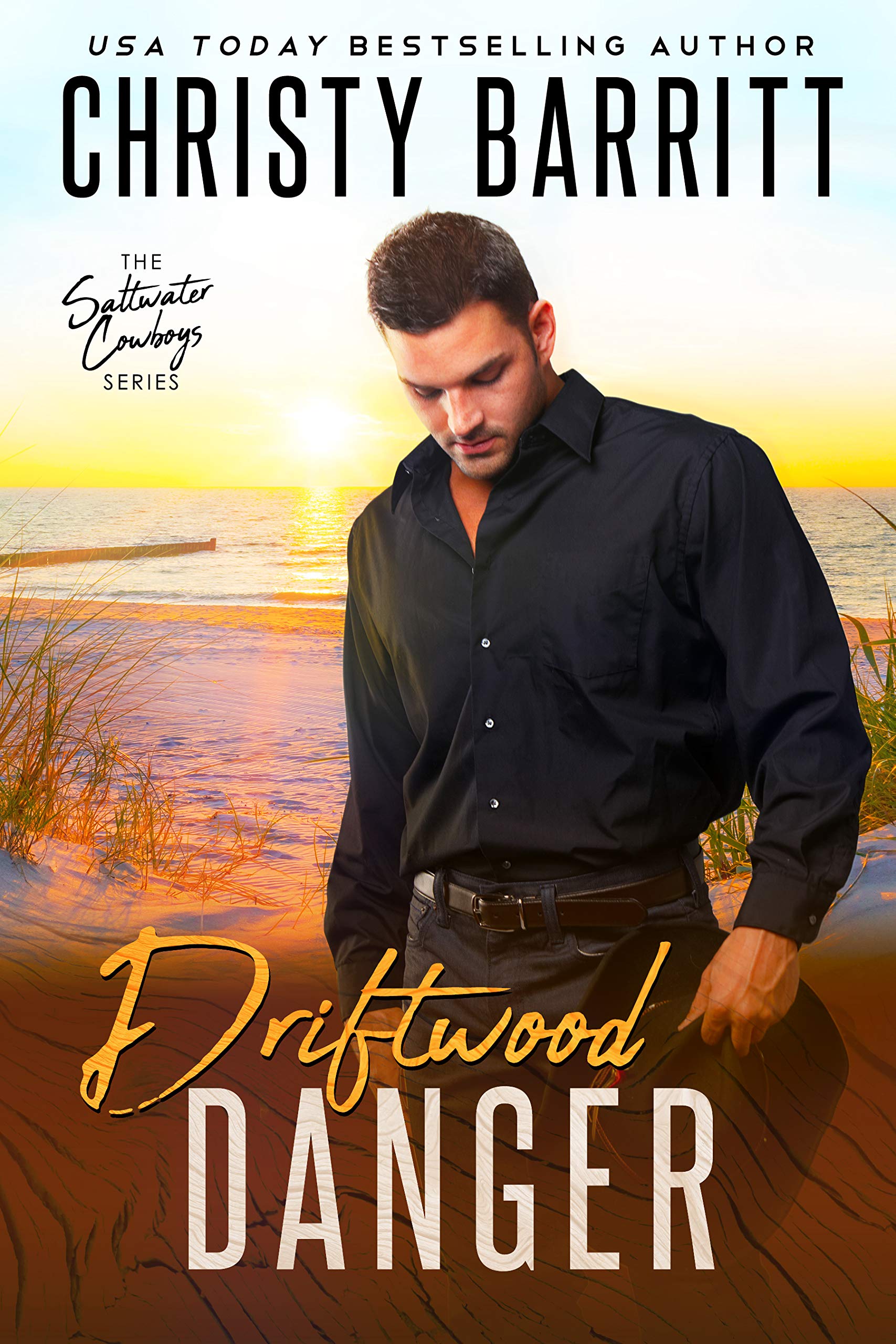 Driftwood Danger book cover