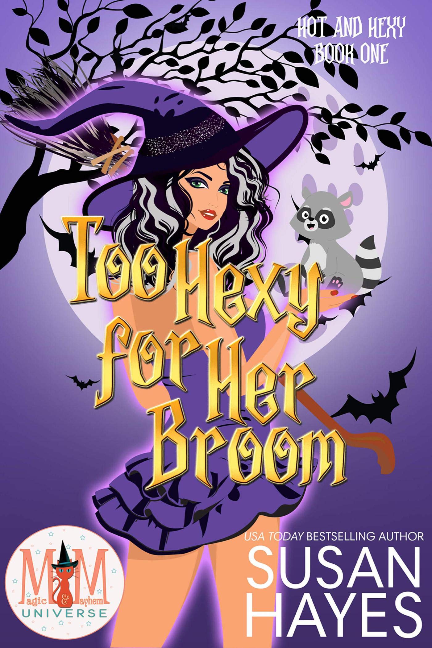 Too Hexy For Her Broom book cover