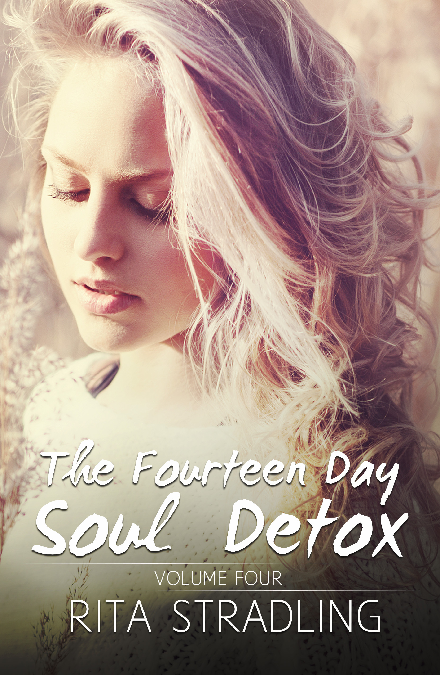 The Fourteen Day Soul Detox, Volume Four book cover