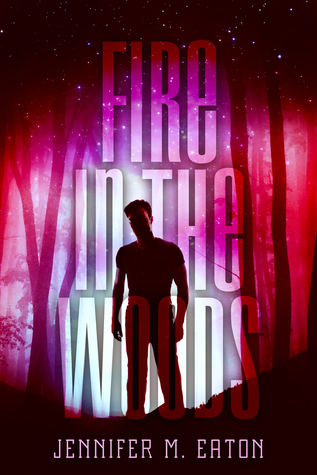 Fire in the Woods book cover 1