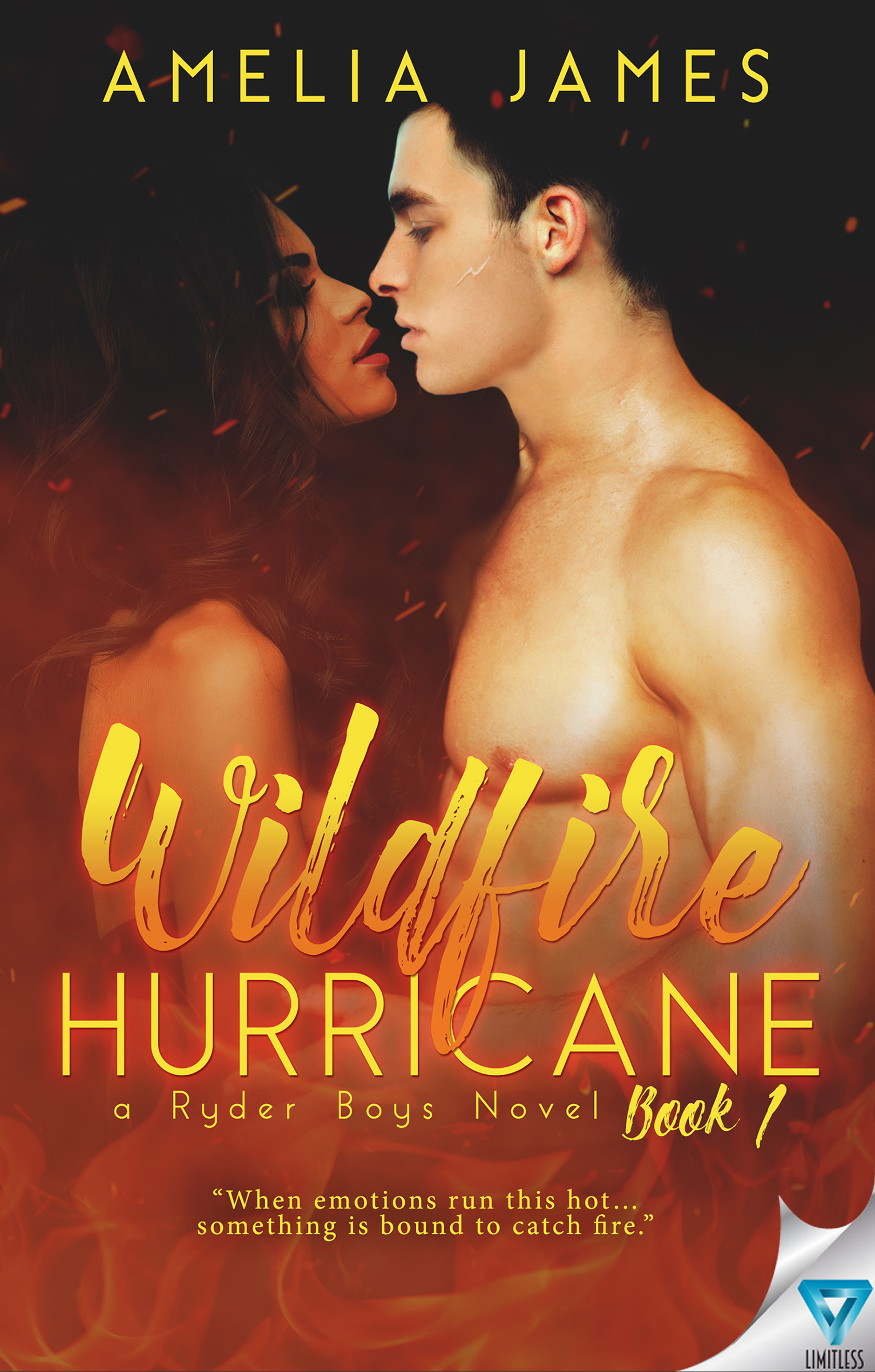 Ryder Boys book cover 1
