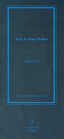 I Go To Some Hollow book cover