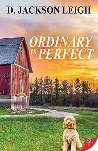 Ordinary is Perfect book cover