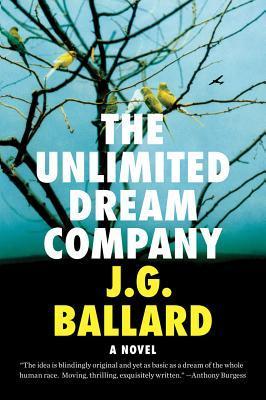 The Unlimited Dream Company book cover