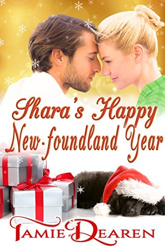 Holiday, Inc book cover 3