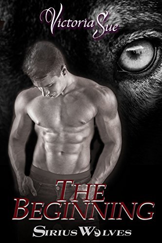 The Beginning book cover