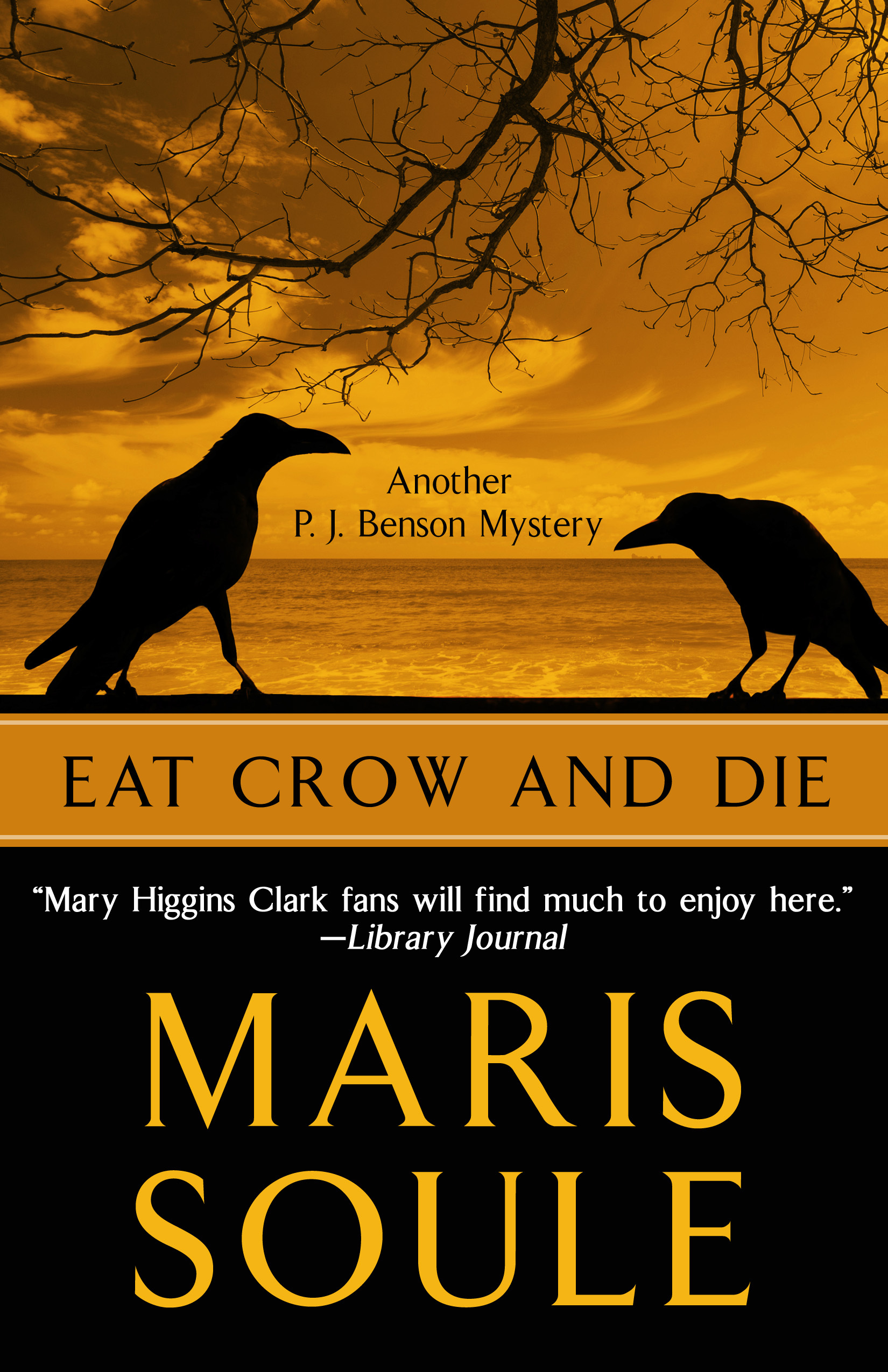P.J. Benson Mysteries book cover 3