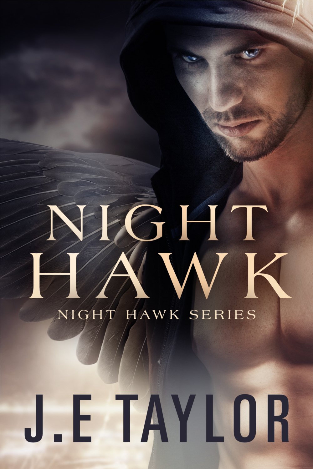 Night Hawk book cover 1