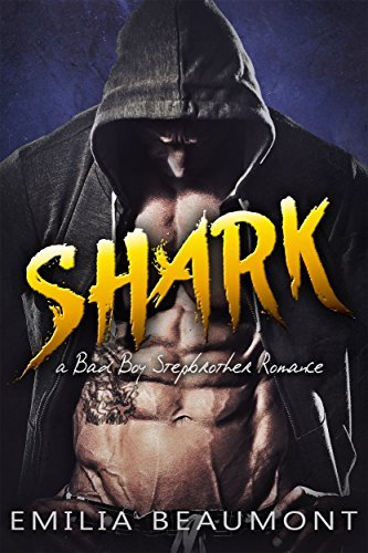 Forbidden Desires book cover 3