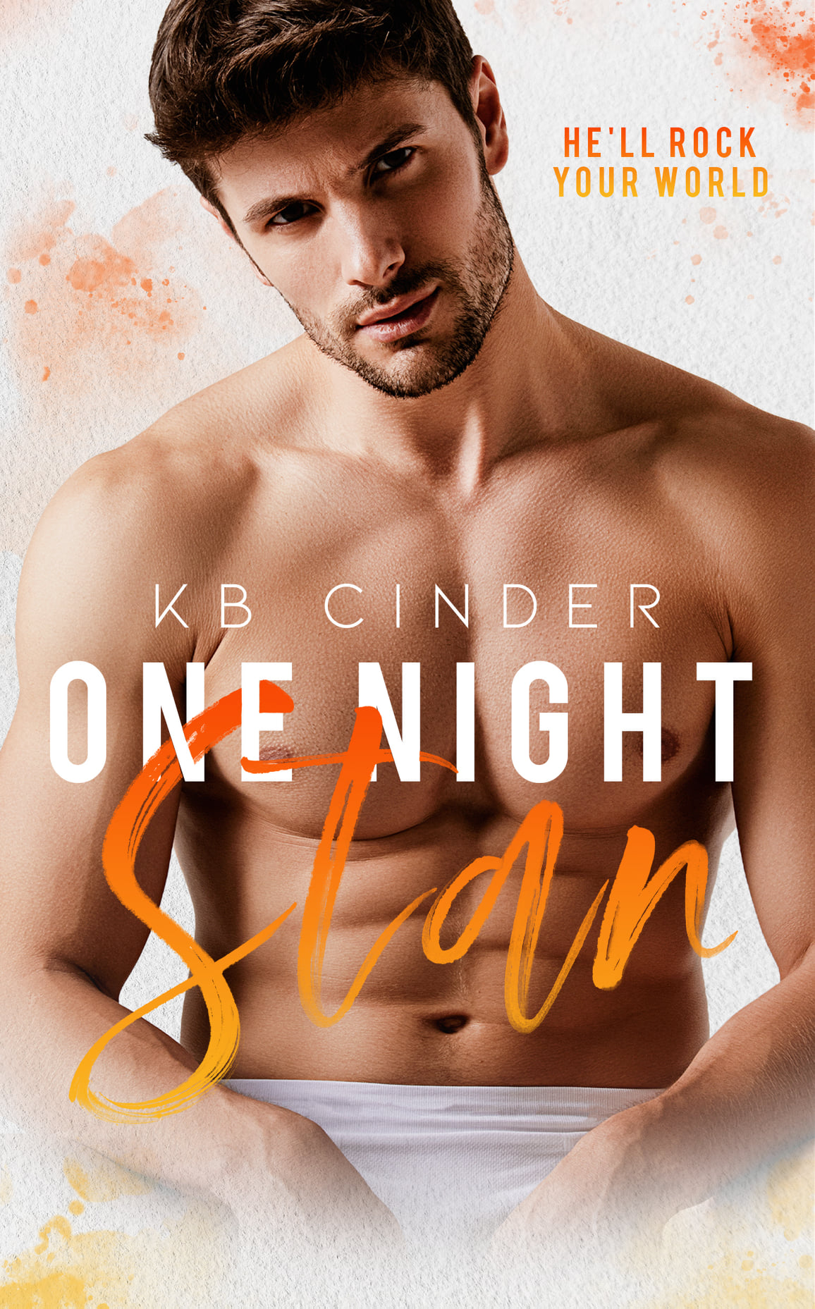 One Night Stan book cover