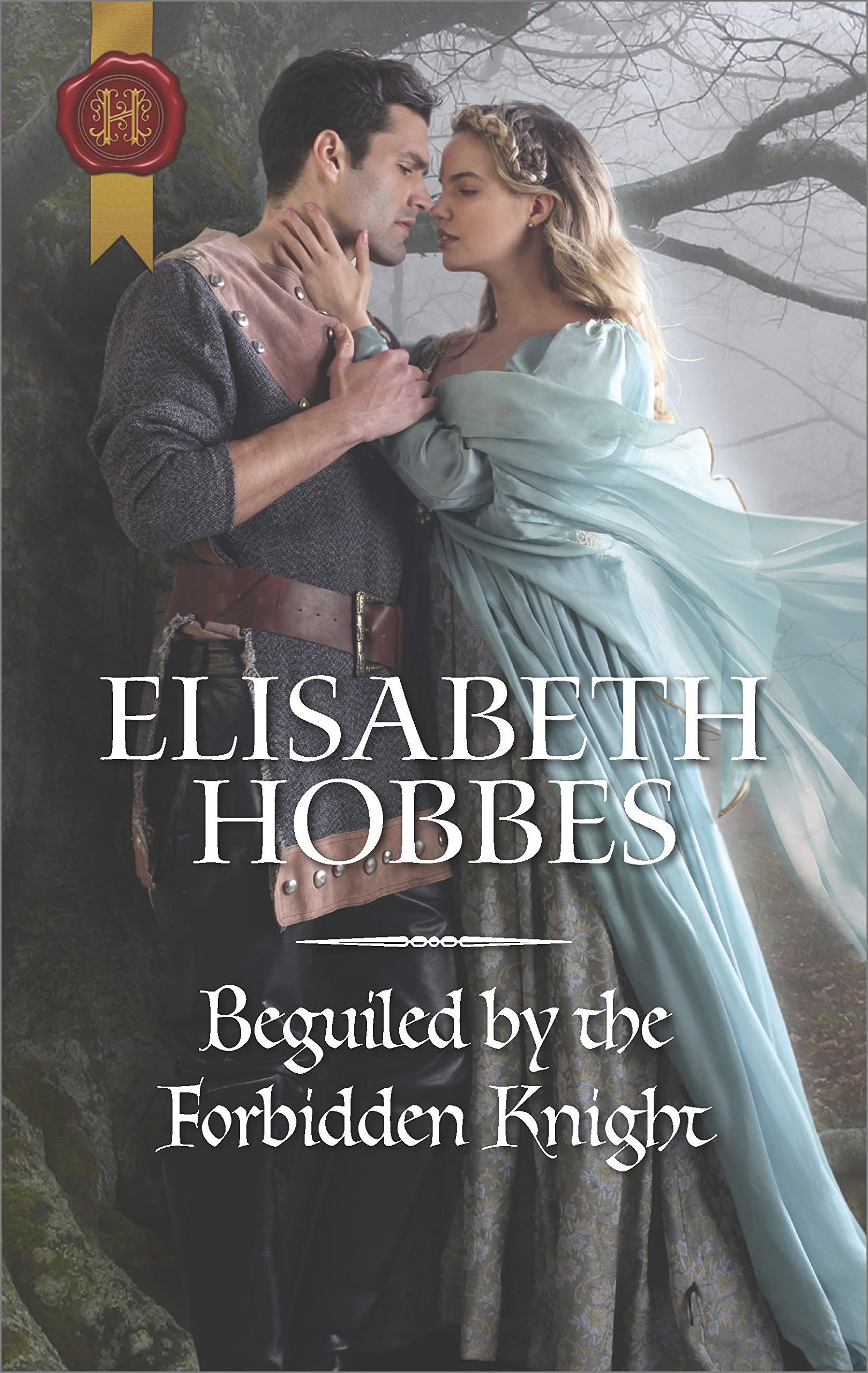 Beguiled by the Forbidden Knight book cover