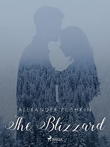 The Blizzard book cover