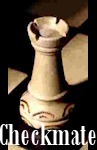 Checkmate book cover