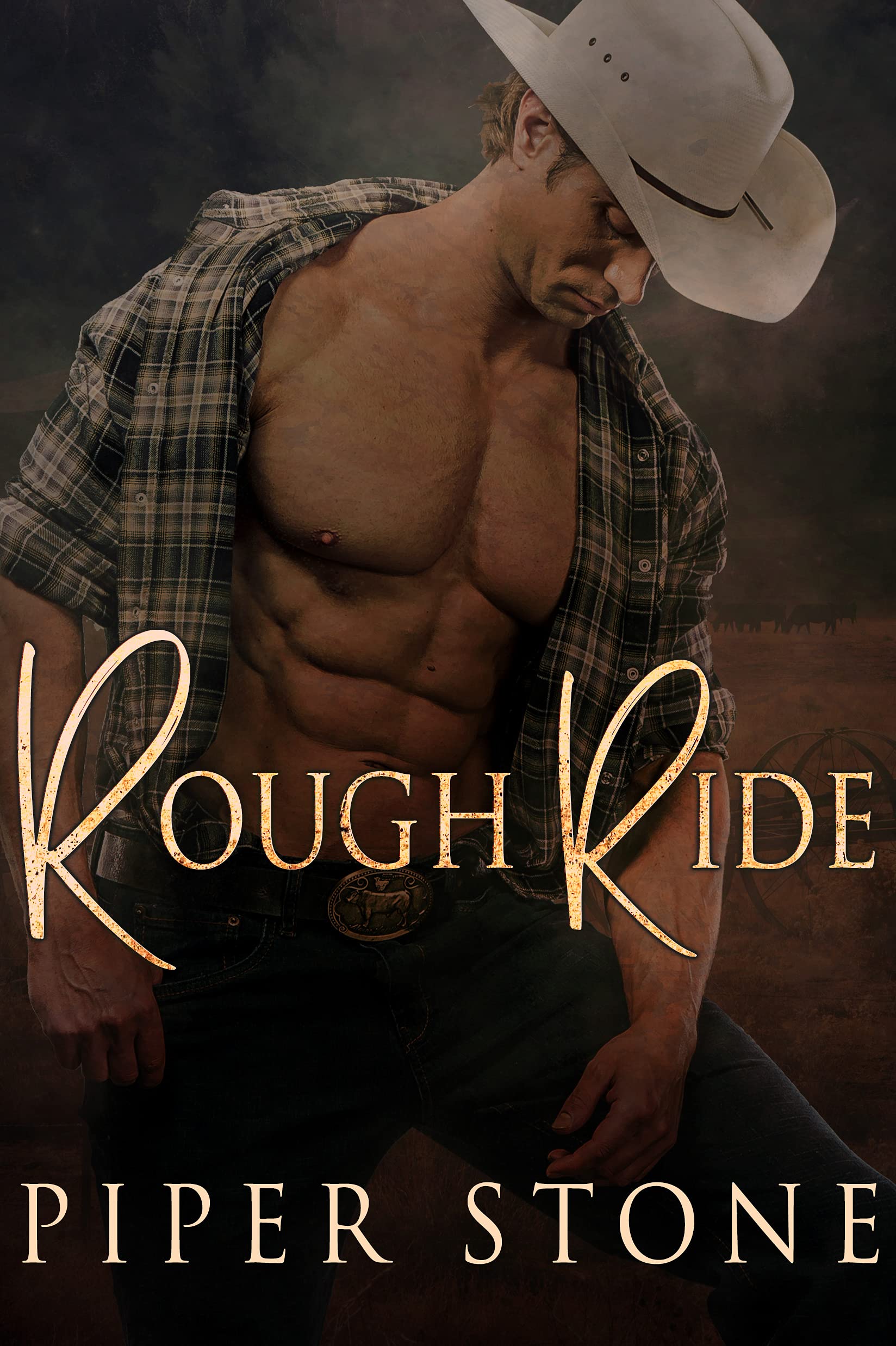Rough Ride book cover