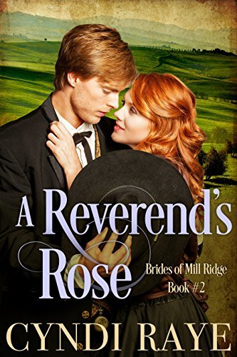 Brides of Mill Ridge book cover 2