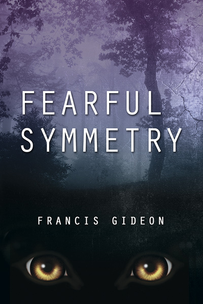 Fearful Symmetry book cover