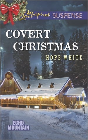Echo Mountain book cover 2